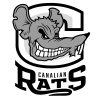 CanalianRats